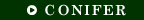 CONIFER